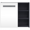 Szafka łazienkowa z lustrem i LED, szara, 60x13x52 cm