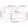2-osobowa sofa z poduszkami, cappuccino, 120 cm, sztuczna skóra