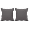 2-osobowa sofa z poduszkami, szara, 120 cm, sztuczna skóra