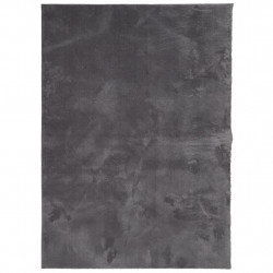 Dywan HUARTE z krótkim włosiem, antracytowy, 200x280 cm