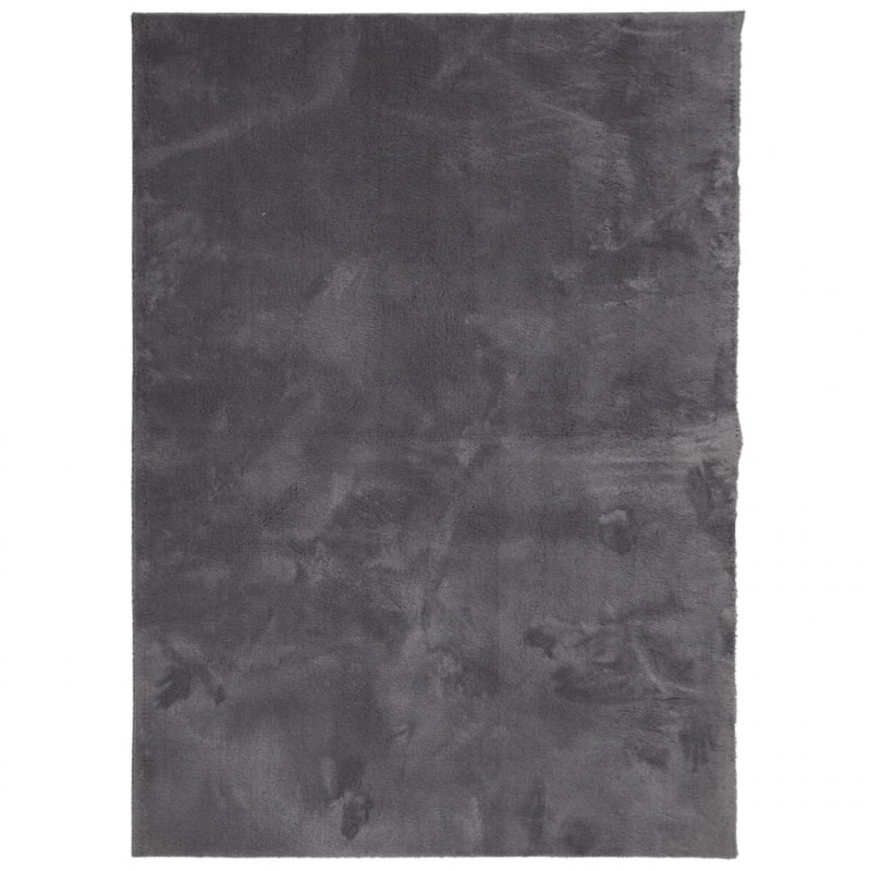Dywan HUARTE z krótkim włosiem, antracytowy, 200x280 cm