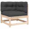 2-osobowa sofa ogrodowa z poduszkami, lite drewno sosnowe