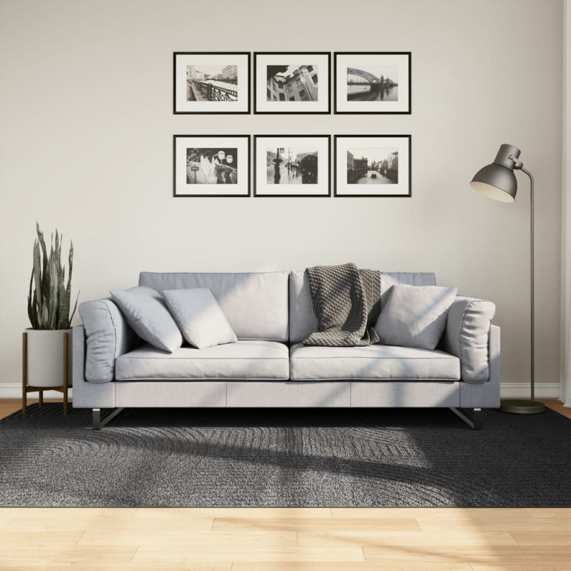 Dywan IZA z krótkim włosiem, antracytowy, 160x230 cm