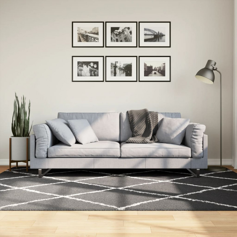 Dywan z długim włosiem PAMPLONA, czarno-kremowy, 160x230 cm