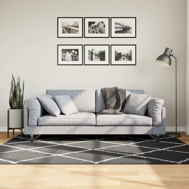 Dywan z długim włosiem PAMPLONA, czarno-kremowy, 140x200 cm