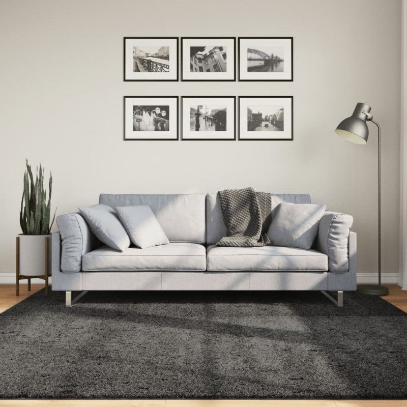 Dywan z długim włosiem PAMPLONA, antracytowy, 200x200 cm
