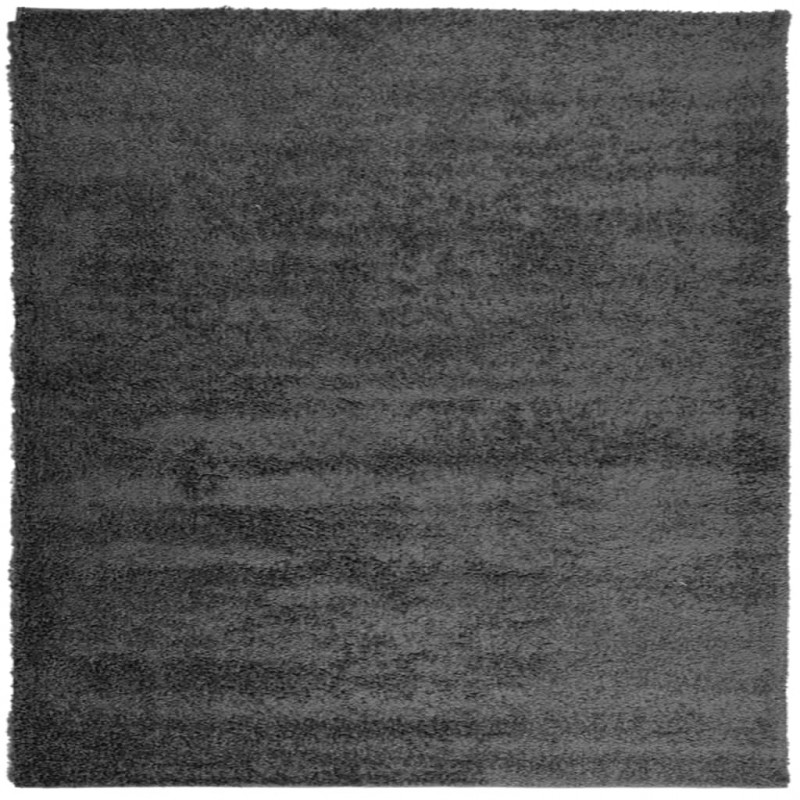 Dywan z długim włosiem PAMPLONA, antracytowy, 240x240 cm