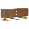 Szafka pod TV, 110x30x40 cm, lite drewno mango i żelazo