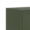 Szafka pod telewizor, oliwkowa, 68,5x39x60,5 cm, stalowa