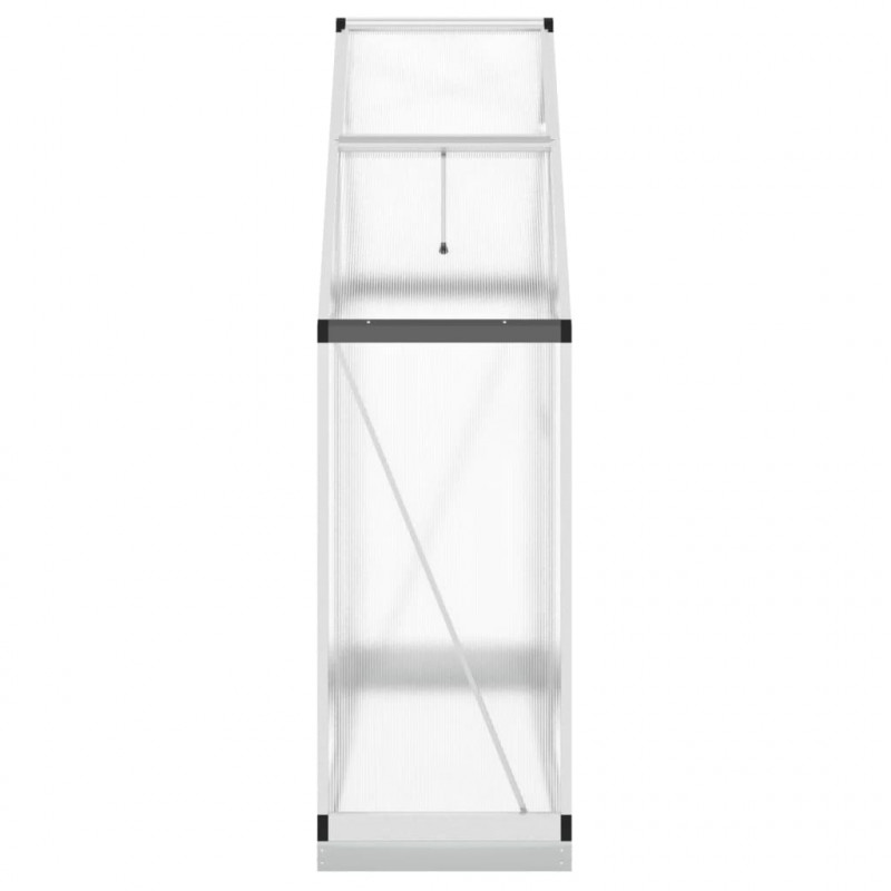 Szklarnia z ramą podstawy, srebrna, 169x58x202 cm, aluminium