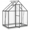 Szklarnia z ramą podstawy, antracyt, 169x114x202 cm, aluminium