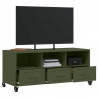 Szafka RTV, oliwkowa, 100,5x39x43,5 cm, stal