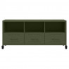 Szafka RTV, oliwkowa, 100,5x39x43,5 cm, stal