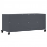 Szafka RTV, antracytowa, 100,5x39x43,5 cm, stal