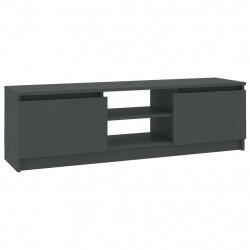 Szafka pod TV, szara, 120x30x35,5 cm, materiał drewnopochodny
