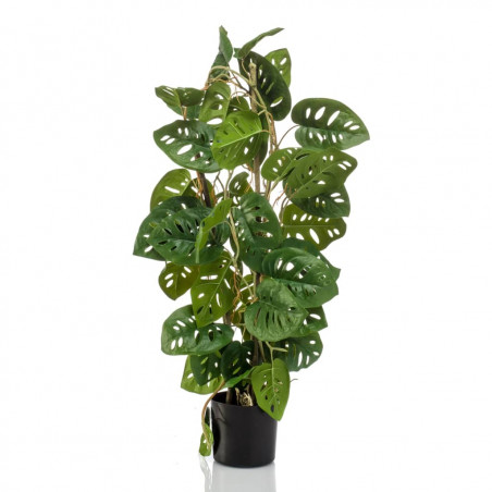 Emerald Sztuczna monstera Adansona w doniczce, 75 cm