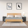 Szafki nocne, 2 szt., szare, 50x35x61,5 cm, lite drewno sosnowe
