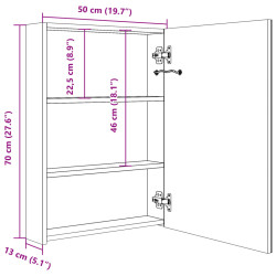 Szafka łazienkowa z lustrem i LED, 50 x 13 x 70 cm