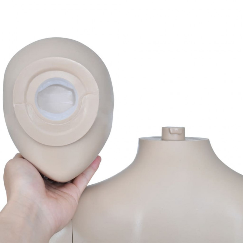 MANEKIN KOBIECY BEŻOWY SZKLANA PODSTAWA 175 CM SZEROKOŚĆ RAMION 40 CM OBRACANE RĘCE 360°