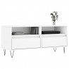 Szafka pod TV, biała, 100x34,5x44,5 cm, materiał drewnopochodny