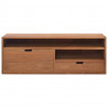 Szafka pod telewizor, 110x30x40 cm, lite drewno tekowe