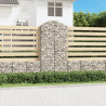 Łukowaty kosz gabionowy 100x30x200/220 cm, galwanizowane żelazo