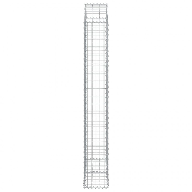 Łukowaty kosz gabionowy 100x30x200/220 cm, galwanizowane żelazo