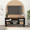 Szafka RTV, 100x33x46 cm, drewno i materiał drewnopochodny