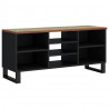 Szafka RTV, 100x33x46 cm, drewno i materiał drewnopochodny