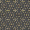 DUTCH WALLCOVERINGS Tapeta w sześciokąty, czarno-złota