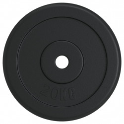 Obciążnik 20 kg, żeliwny