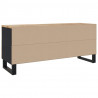 Szafka pod telewizor, 105x33x46 cm, lite drewno mango