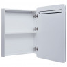 Szafka łazienkowa z lustrem i LED, 60 x 11 x 80 cm