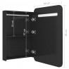 Szafka łazienkowa z lustrem, LED, czerń z połyskiem 60x11x80 cm